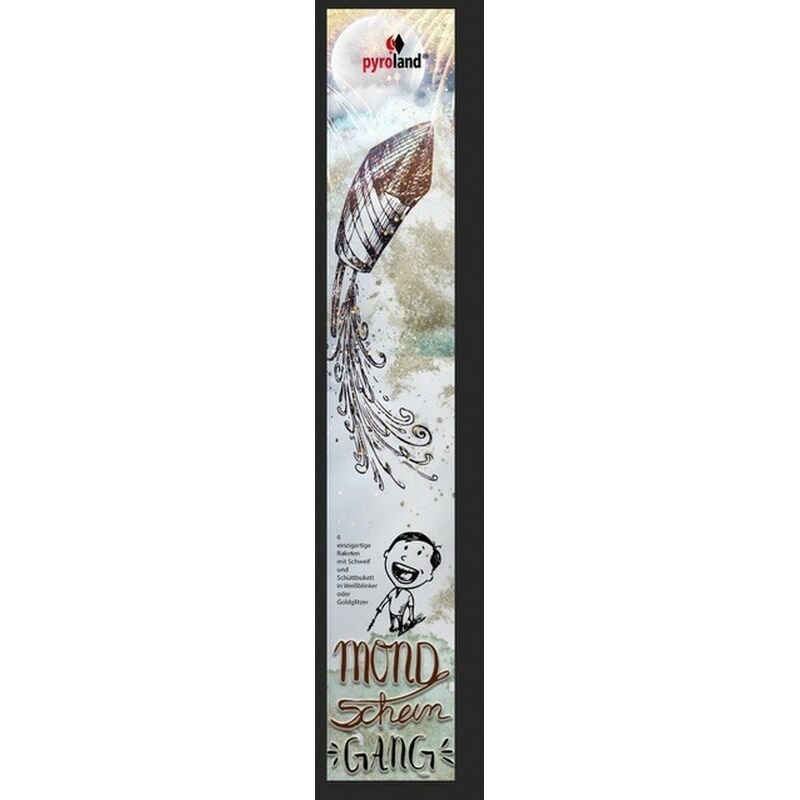 Silvesterfeuerwerk|Silvesterraketen ~  für 12.33 EUR bestellen