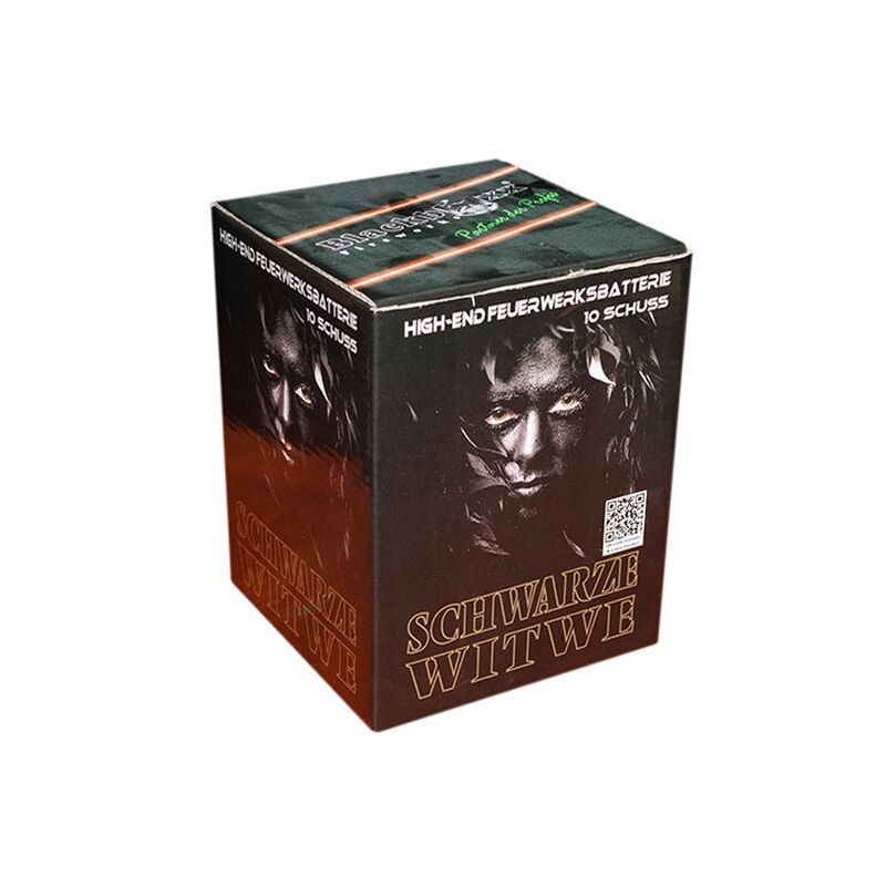 Silvesterfeuerwerk|Feuerwerksbatterien ~  für 13.17 EUR bestellen