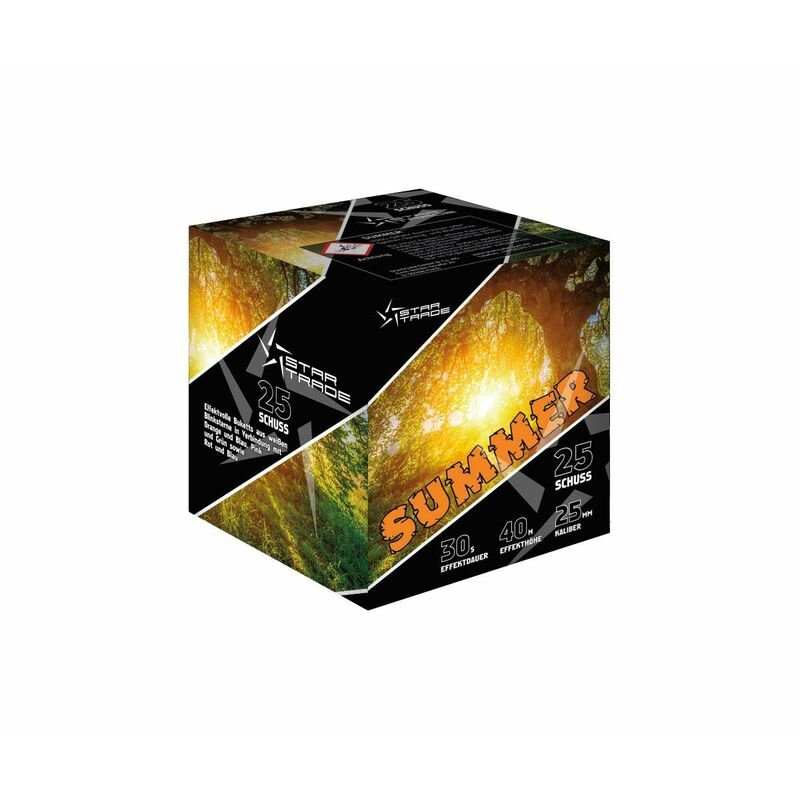 Silvesterfeuerwerk|Feuerwerksbatterien ~  für 18.69 EUR bestellen