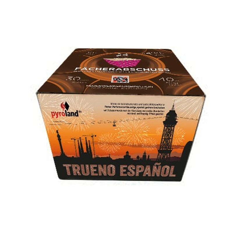 Silvesterfeuerwerk|Feuerwerksbatterien ~  für 59.99 EUR bestellen