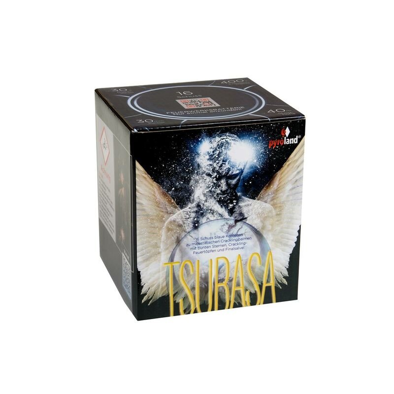 Silvesterfeuerwerk|Feuerwerksbatterien ~  für 23.79 EUR bestellen