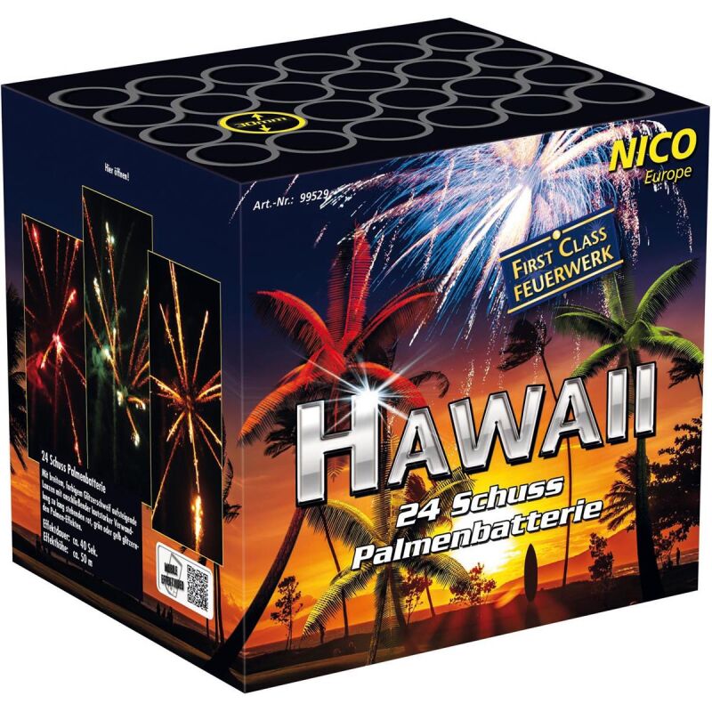 Silvesterfeuerwerk|Feuerwerksbatterien ~  für 39.94 EUR bestellen