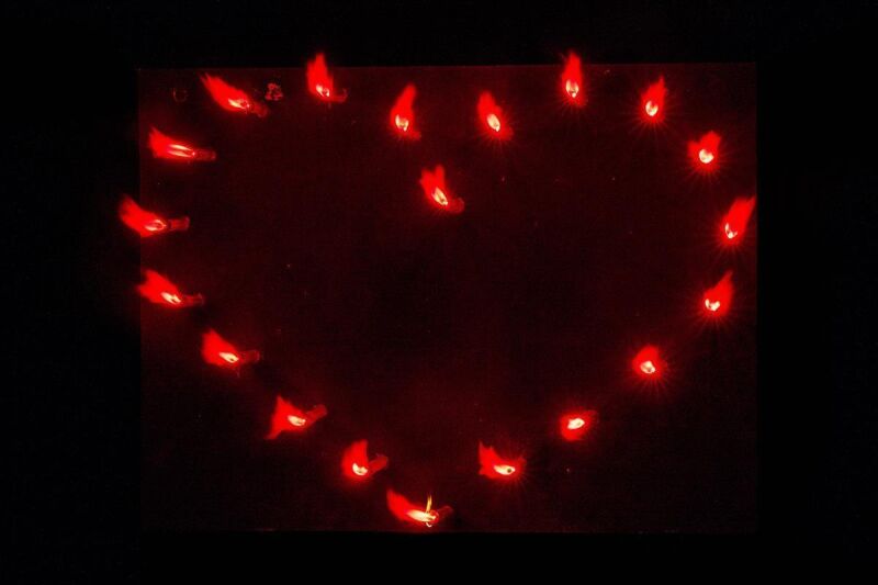  ~  für 26.99 EUR bestellen