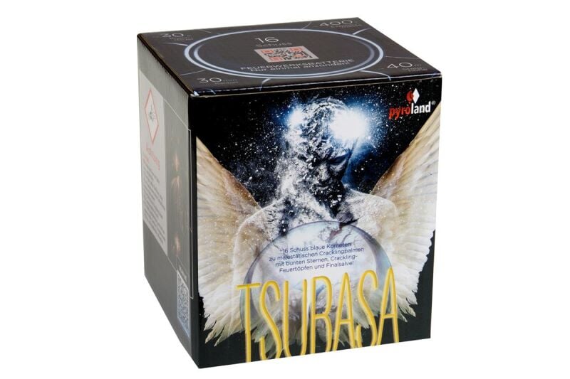Silvesterfeuerwerk|Feuerwerksbatterien ~  für 23.79 EUR bestellen