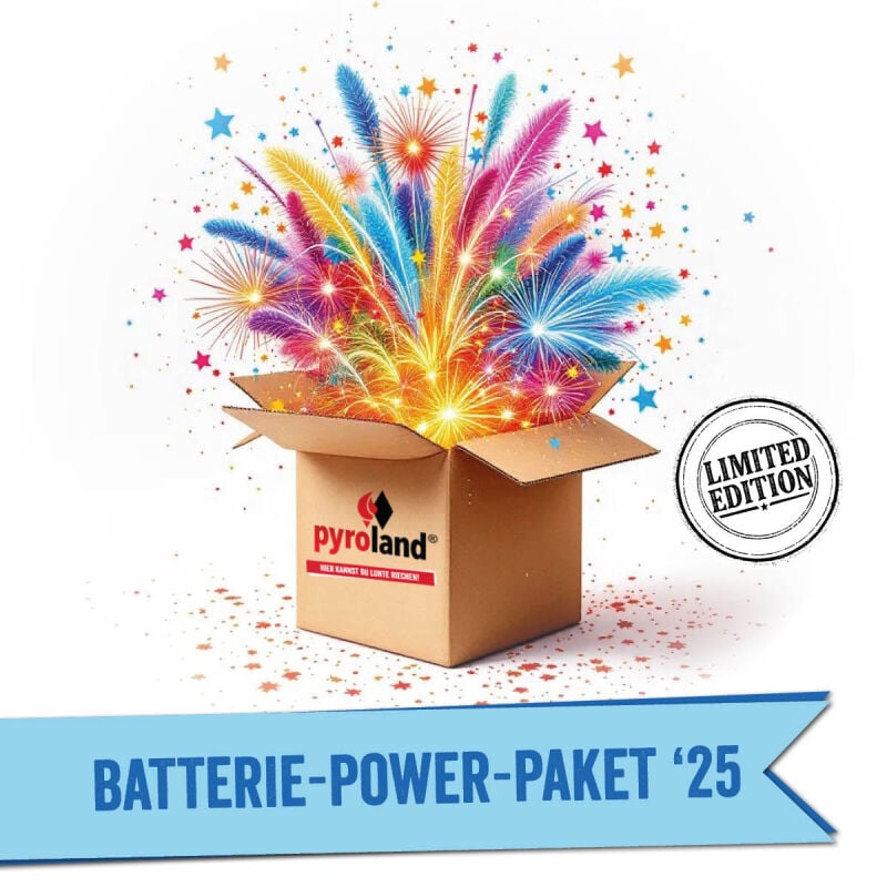 Batterie-Power-Paket online bestellen