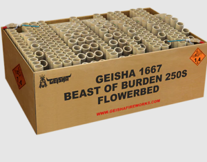 Beast of Burden 250-Schuss-Feuerwerkverbund online bestellen