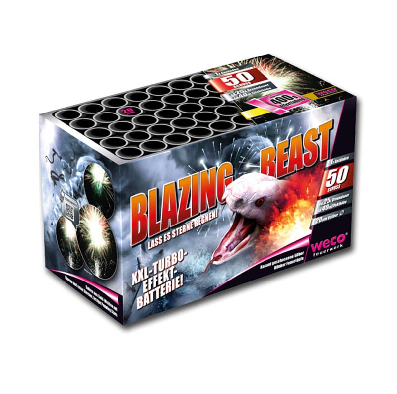 Silvesterfeuerwerk|Feuerwerksbatterien ~ für 29 EUR bestellen