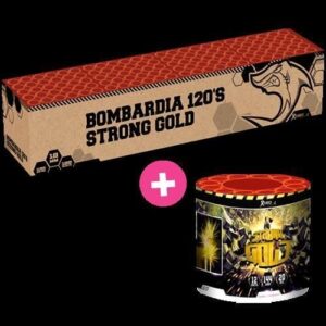 Bombardia + Strong Gold 132-Schuss-Feuerwerkverbund 2er Pack online bestellen