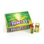 Bonsai, 1er-Schtl. online bestellen