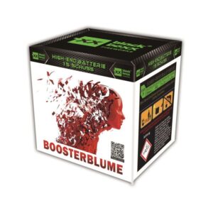 Boosterblume 15-Schuss-Feuerwerk-Batterie online bestellen
