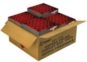 Espada Palms Display Box 100-Schuss-Feuerwerkverbund (Stahlkäfig) online bestellen