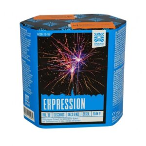Expression 13-Schuss-Feuerwerk-Batterie online bestellen