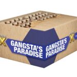 Gangsta’s Paradise 50-Schuss-Feuerwerkverbund (Stahlkäfig) online bestellen