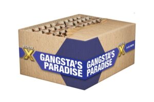 Gangsta’s Paradise 50-Schuss-Feuerwerkverbund (Stahlkäfig) online bestellen