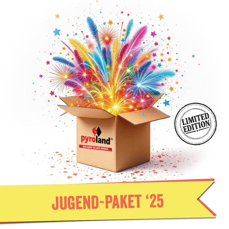 Feuerwerk Angebote ~ für 49 EUR bestellen