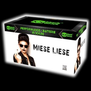 Miese Liese 25-Schuss-Feuerwerk-Batterie online bestellen