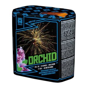 Orchid 13-Schuss-Feuerwerk-Batterie online bestellen