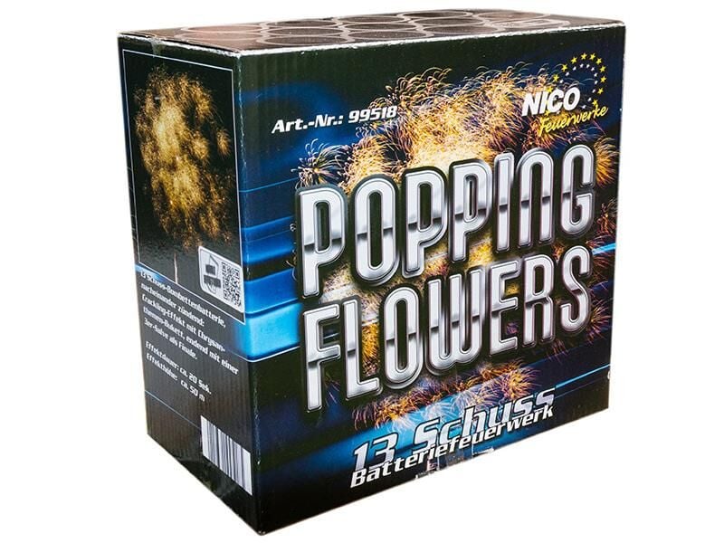 Silvesterfeuerwerk|Feuerwerksbatterien ~  für 17.5 EUR bestellen
