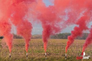 Power Smoke Pink 60s online bestellen
