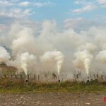 Power Smoke Weiß 60s online bestellen