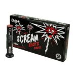 Scream Shots Bombenrohre 10er Set online bestellen