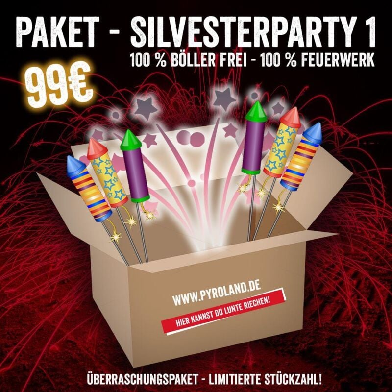 Silvesterfeuerwerk|Silvester Party Artikel ~ für 99 EUR bestellen