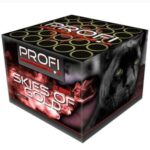 Skies of Gold 25-Schuss-Feuerwerk-Batterie 8er Pack (Stahlkäfig) online bestellen