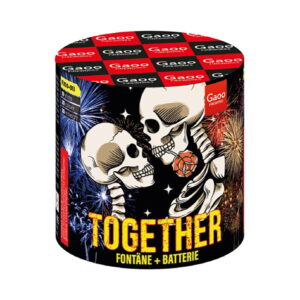Together (Elegia) 10-Schuss-Feuerwerk-Batterie online bestellen