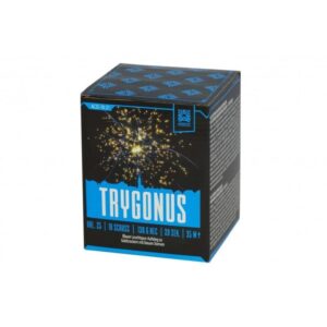 Trygonus 10-Schuss-Feuerwerk-Batterie online bestellen
