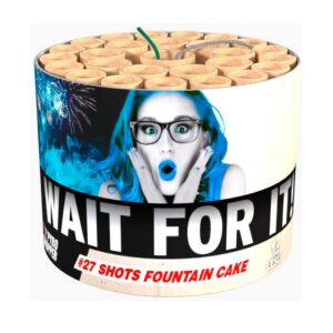 Wait for It! Fontänenbatterie online bestellen