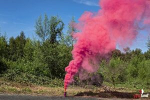 XL Rauchprojektor Pink 60s-80s online bestellen