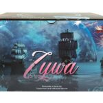 ZYWA 25-Schuss-Feuerwerk-Batterie online bestellen