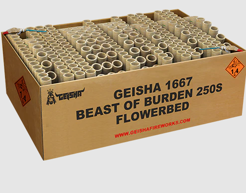 beast-of-burden-250-schuss-feuerwerkverbund