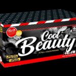 cool-beauty-44-schuss-feuerwerk-batterie