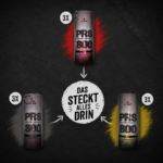 deutschland-fanpaket-2