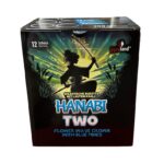hanabi-two-12-schuss-feuerwerkbatterie