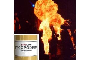 lycopodium-qualitaetsstufe-leicht