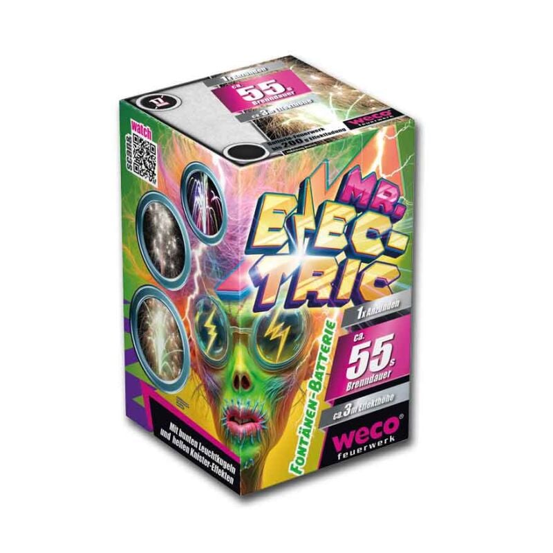 mr-electric-fontaenen-batterie