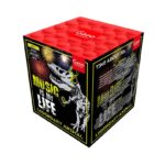 music-25-schuss-feuerwerk-batterie