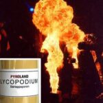 schwer-lycopodium-qualitaetsstufe-schwer-1kg