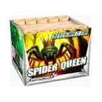 spider-queen-10-schuss-feuerwerk-batterie2