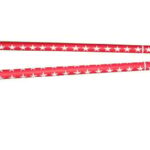 sternfackel-typ-c-tricolore