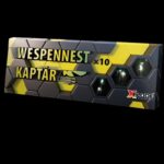 wespennest